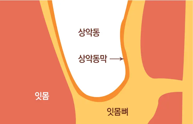 기분좋은치과의원 진료 안내 이미지